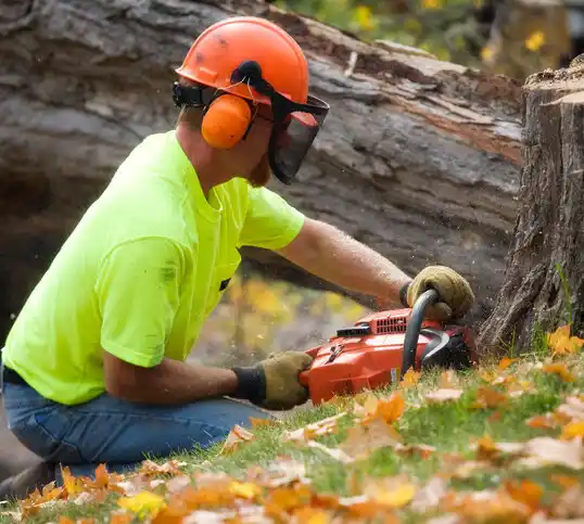 tree services Cando